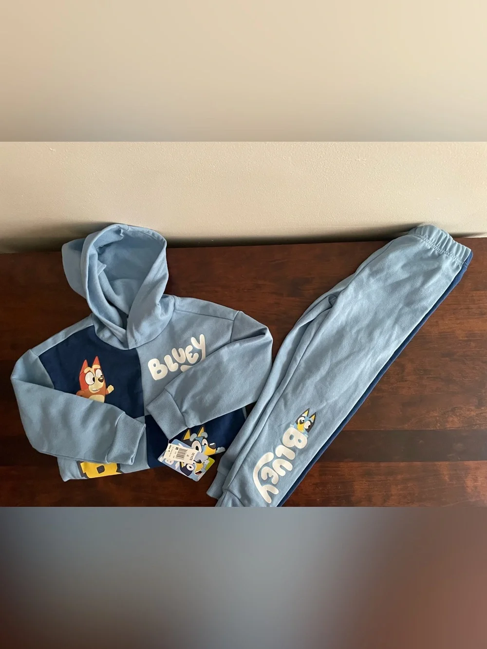 Toddler Boys NWT 5T Bluey and Bingo Hooded Sweat Pant Set